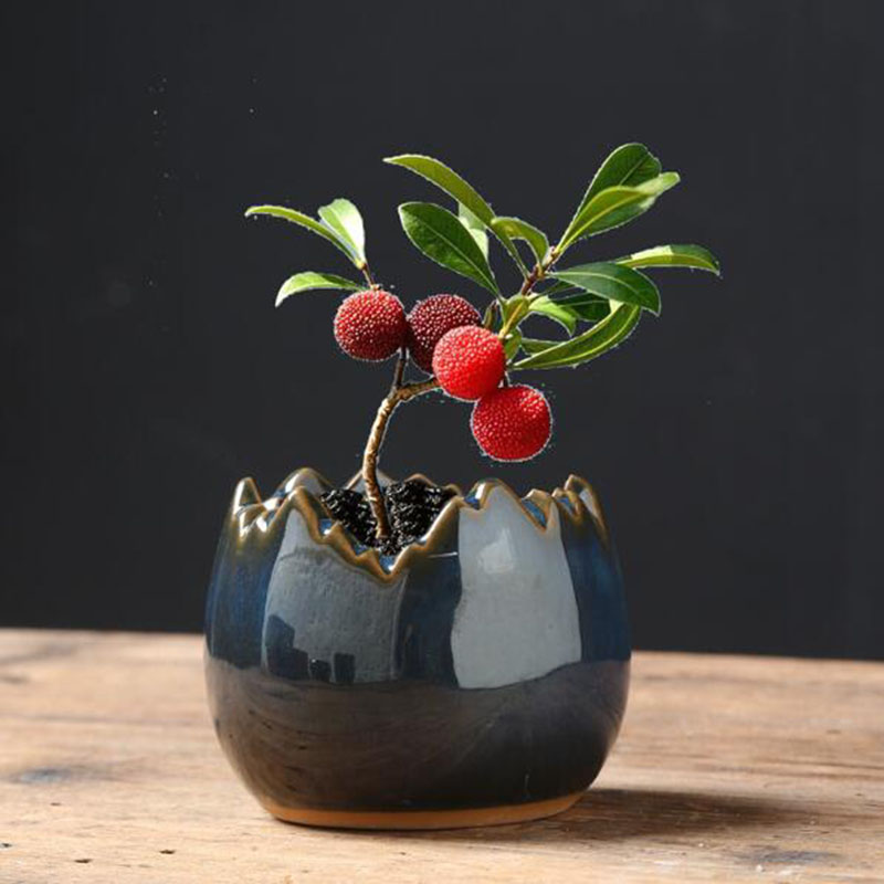 Bonsai Garden Art - Doniczka z efektem przetworzenia w kolorze