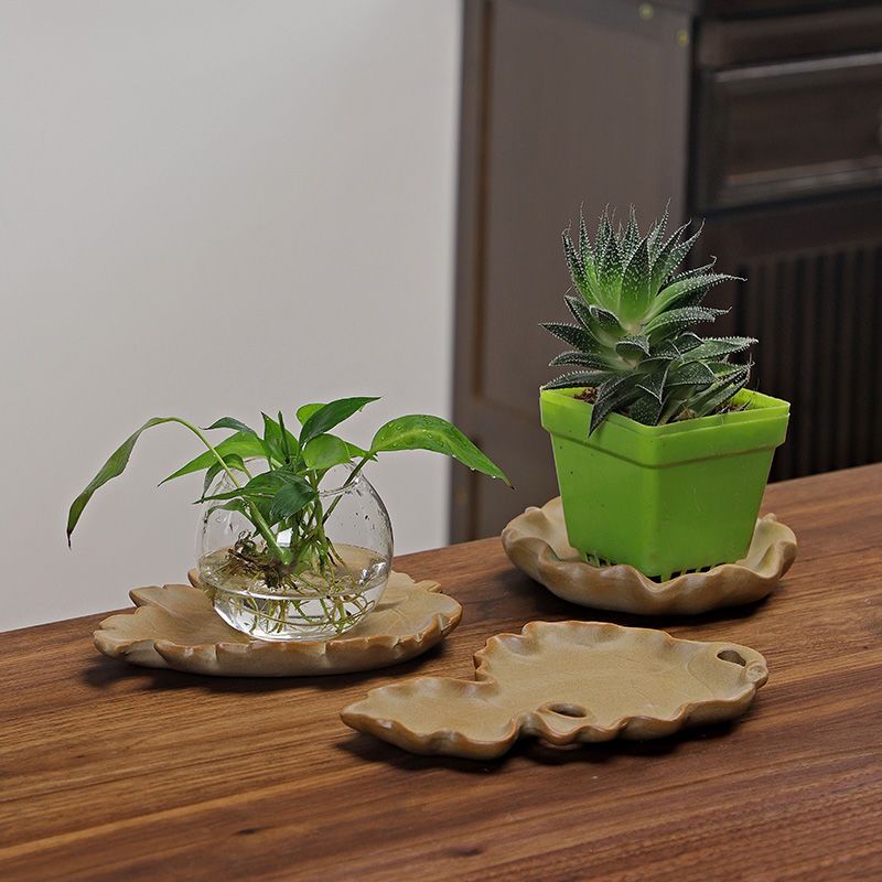Brazylijska Drewniana Hydropon – Drip Tray Saucer recenzja i cena