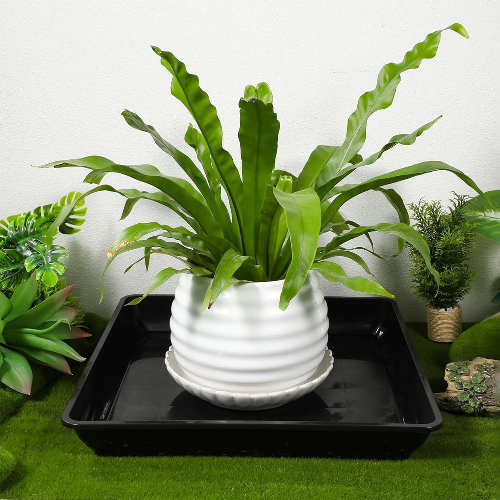 Podstawki pod doniczki 2 szt./ – Drip Tray Saucer recenzja i cena