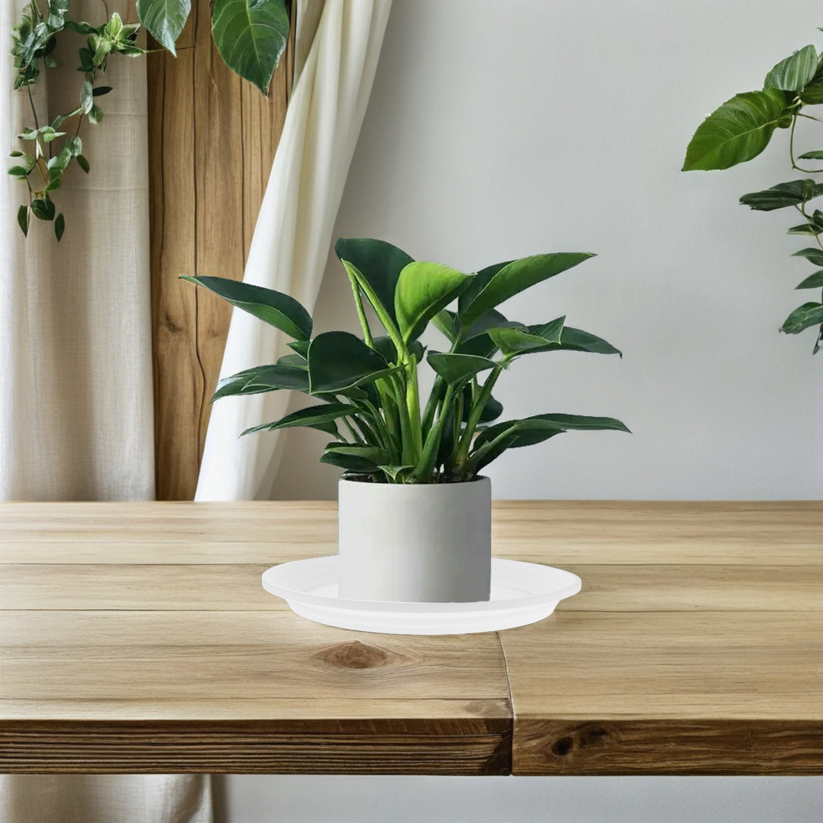 6 sztuk okrągłych plastikowych – Drip Tray Saucer recenzja i cena